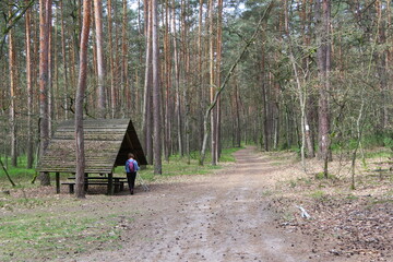Kampinoski Park Narodowy, Mazovia, Poland