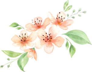 Peachy watercolor bouquet.