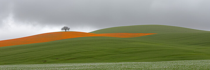 Lone Tree on Vibrant Green Hill with Orange Wildflowers Panorama