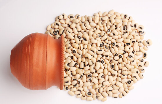 black-eyed bean , cow peas popular in India and Africa