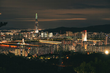 Fototapeta premium Stunning Night View of urban Seoul City from the Mountain Top