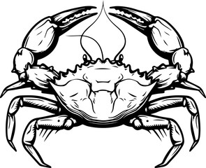 Black Crab Vector Illustration Graphic