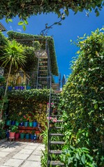 Fototapeta na wymiar Vertical shot of a green garden with a metal staircase.