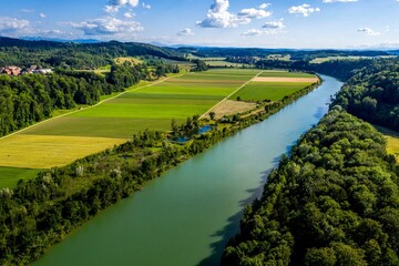Drone shot of the the green dense trees and fields on the banks of the Aare tributary in Switzerland
