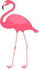 Cartoon flamingo, pink swan icon, tropical bird, summer animal, cute zoo character. Exotic fauna illustration © Sylfida