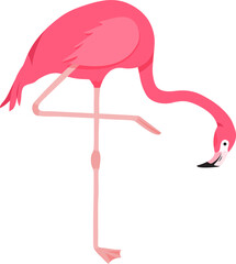 Cartoon flamingo, pink swan icon, tropical bird, summer animal, cute zoo character. Exotic fauna...