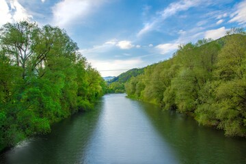 Fototapeta na wymiar Natural view of calm river and forest landscape under a sunny day