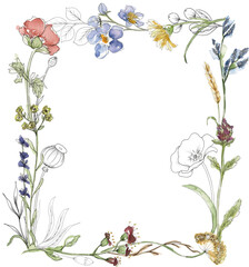 Watercolor wildflowers wreath illustration, meadow flowers frame clipart - 774099867