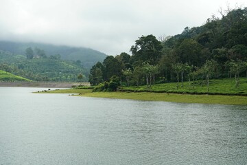 Lake near a lush green hillside with trees