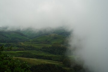 Lush tea plantation with a mountain in the background and mist rising from clouds