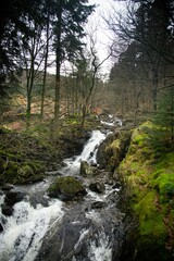 Vertical shot of a scenic cascade river in a forest in a gloomy day, cool for background