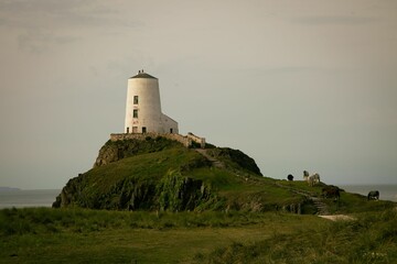 Coastal landscape of a lighthouse on a green cliff with horses grazing nearby