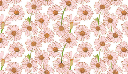 Seamless pattern with daisy flowers