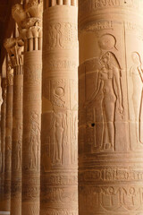 Vertical shot of the columns of the ancient Egyptian Luxor Temple with carved symbols on it