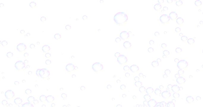 Particle background animation material with white round soap bubbles (bubbles) floating(white background). 白色の丸いシャボン玉（泡）が浮かび上がるパーティクル背景アニメーション素材(白背景)