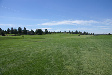 Green field with trees in the background under blue cloudy sky