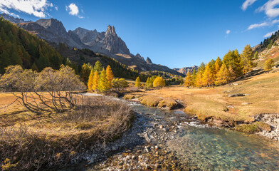 Autumn in Claree Valley in the French Alps with larch trees. Claree river and Main de Crepin mountain peak. Cerces Massif in Hautes Alpes, France - obrazy, fototapety, plakaty