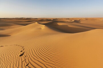 Endless dunes of a vast desert stretching to the horizon under the sunlight