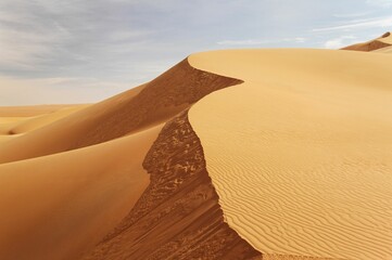 Fototapeta na wymiar Beautiful dune in a dry and endless desert stretching to the horizon