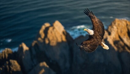 eagle in flight