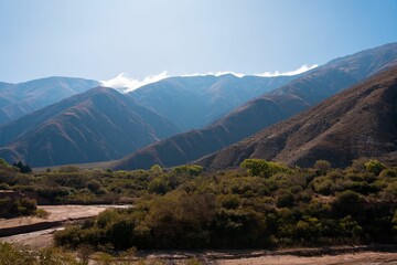 Volcanic rocky mountains with the dense trees in Jujuy, Argentina