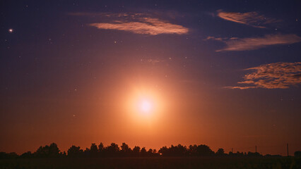 Fototapety na wymiar - Fototapeta24.pl