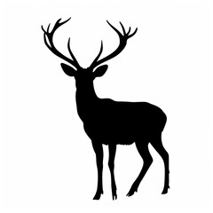 Deer silhouette , black and white, isolated on a white background
