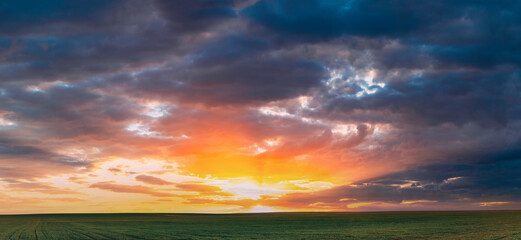Spring Sunset Sky Above Countryside Rural Meadow Landscape. Wheat Field Under Sunny Spring Sky....