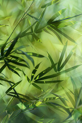 Abstract bamboo pattern for background