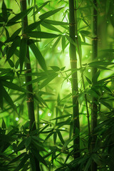 Abstract bamboo pattern for background