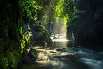 photos of natural landscapes and tropical forests in Indonesia. view of the new alley waterfall in...