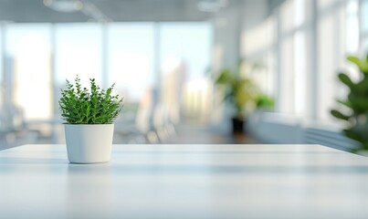 Minimalist Office Scene with Vivid Green Potted Plant