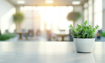 Sunny Office with Lush Potted Plant and Cast Shadow - obrazy, fototapety, plakaty