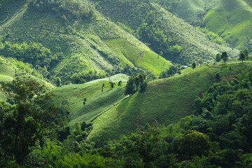 Green mountain scenery,Landscape of green mountains