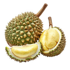 Obraz premium durian isolated on white background