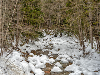  White Mountains are a mountain range of the state of New Hampshire - 774125699