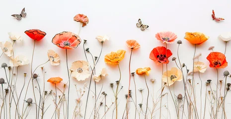Kissenbezug Horizontal seamless border with poppy flowers isolated on white background © Татьяна Гончарук