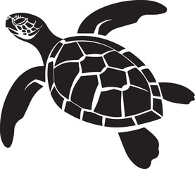 sea turtle illustration 