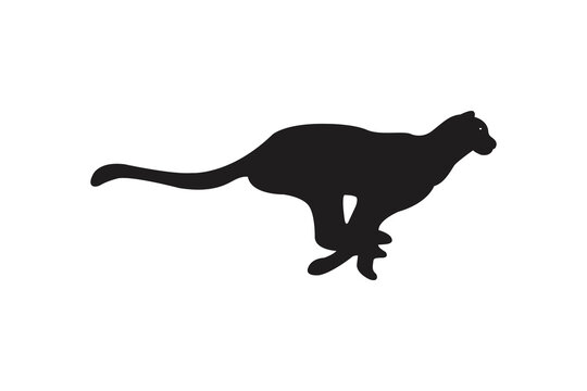 Vector icon logo of leopard running fast silhouette isolated white background.
