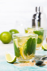refreshing drink - cold mojito, vertical