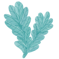 Sea Animals fish fishing seafood