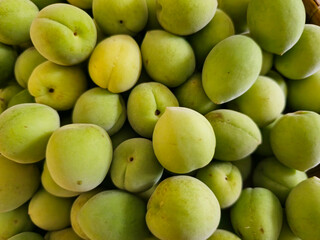 Close up Fresh plums, the main ingredient for making plum syrup and plum wine.