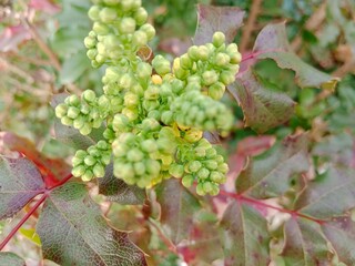 Spring colors bring forth a vibrant palette of pastel hues, blossoming flowers, and fresh greenery,...