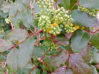 Spring colors bring forth a vibrant palette of pastel hues, blossoming flowers, and fresh greenery,...