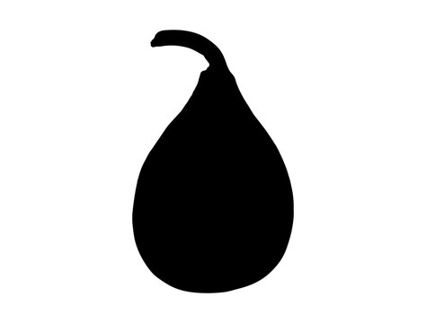 Bottle gourd silhouette vector art white background