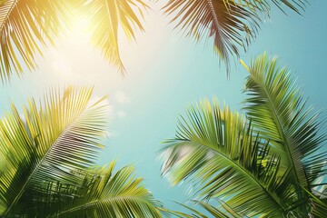 Palm Tree On Blue Sky Background