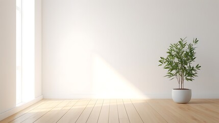 empty room with plant