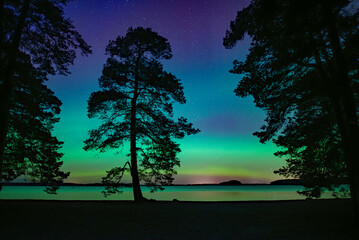 Northern light dancing over calm lake in north of Sweden.Farnebofjarden national park.