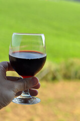 mão segurando taça de vinho de uva 
