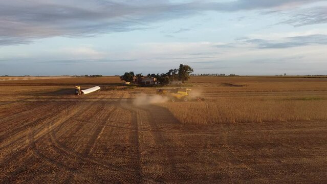 M&aacute;quina trilladora cosechando soja en campo argentino, vista a&eacute;rea con dron, 20 segundos